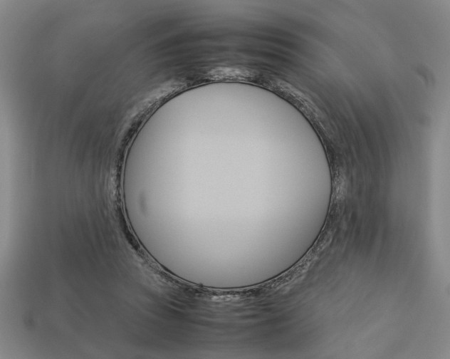 X0000113780353200909231046