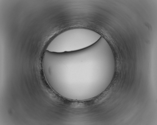 X0000113780354200909231046