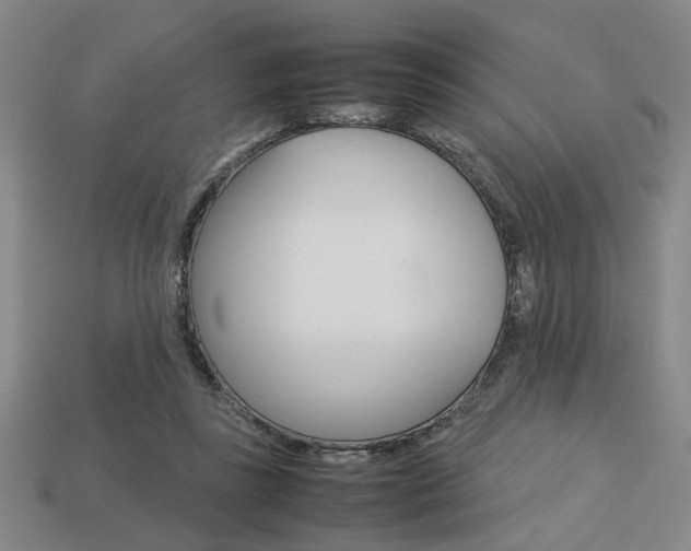 X0000113780355200909231046