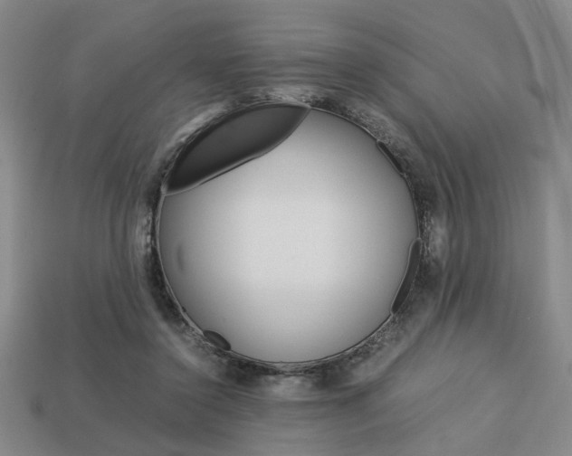 X0000113780356200909231046