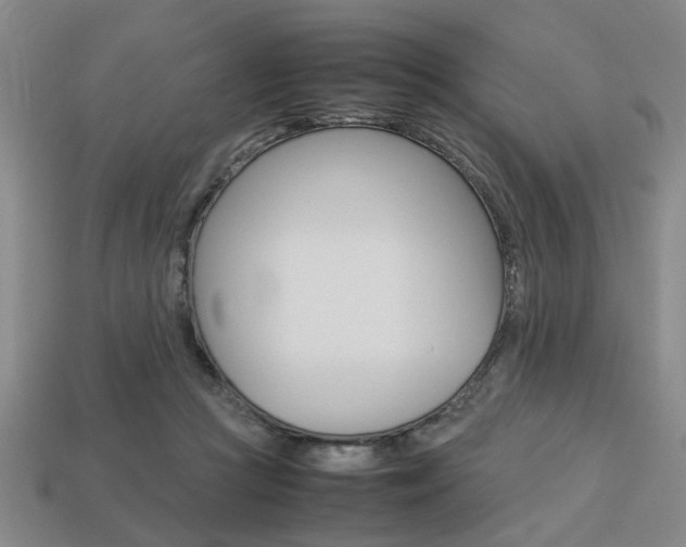 X0000113780361200909231046