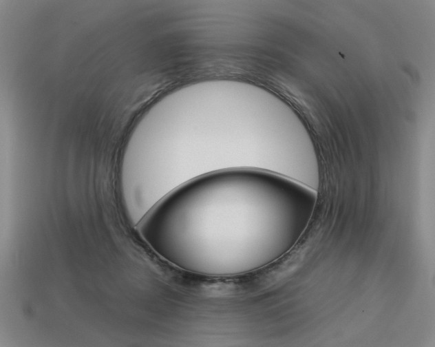 X0000113780362200909231046