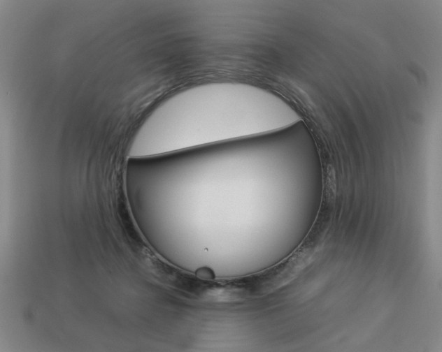X0000113780364200909231046
