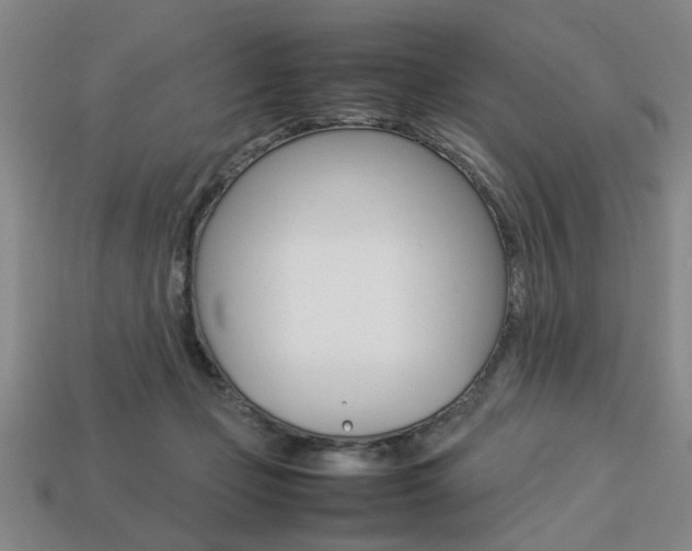 X0000113780365200909231046