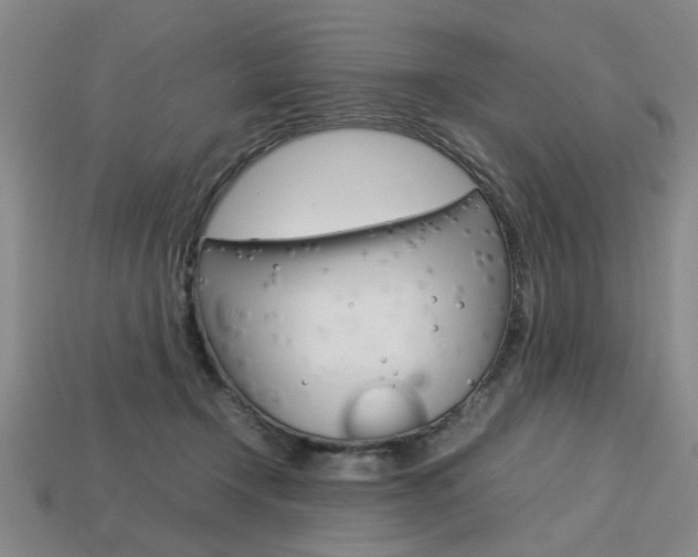 X0000113780366200909231046
