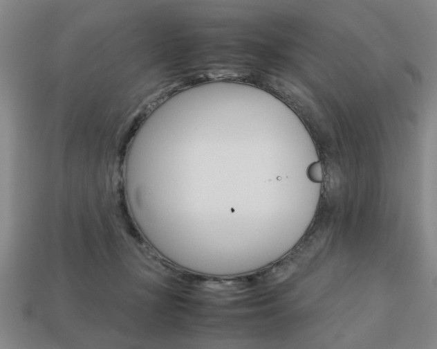 X0000113780367200909231046