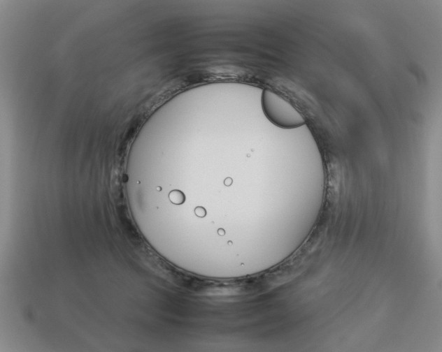 X0000113780369200909231046