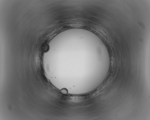 X0000113780371200909231046