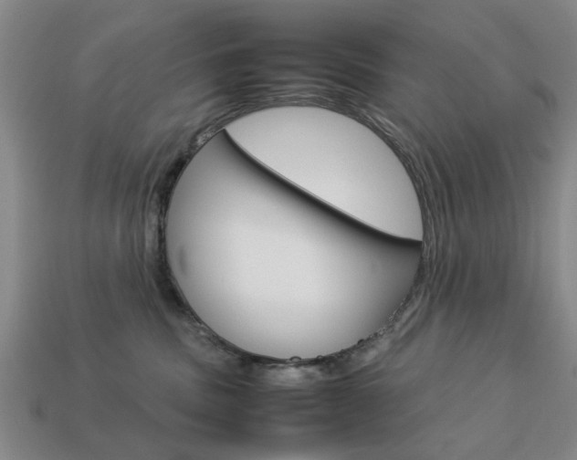 X0000113780379200909231046