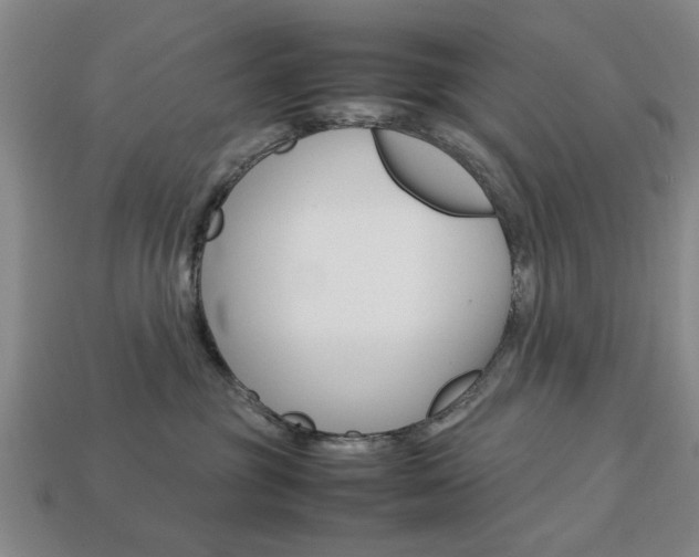 X0000113780381200909231046