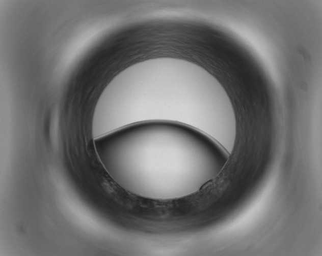 X0000113780382200909231046