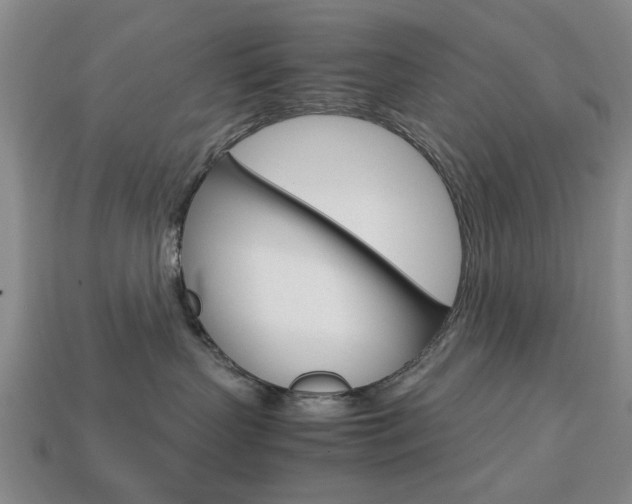 X0000113780383200909231046