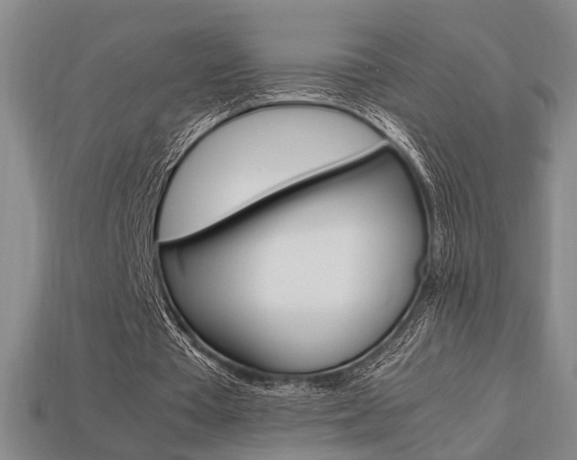 X0000113780385200909231045