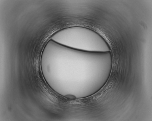 X0000113780386200909231045
