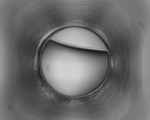 X0000113780388200909231045