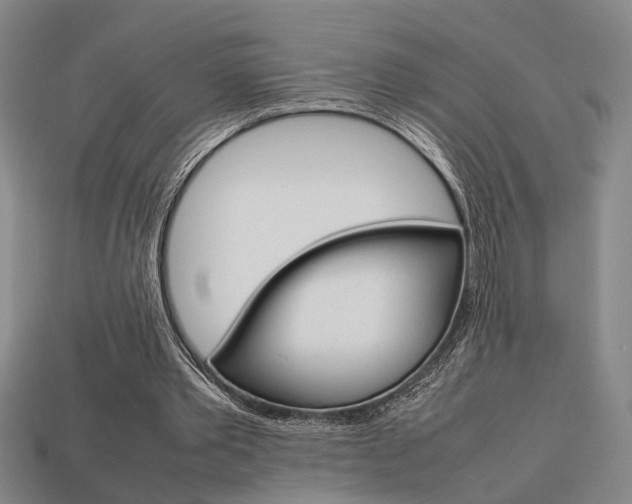 X0000113780389200909231045