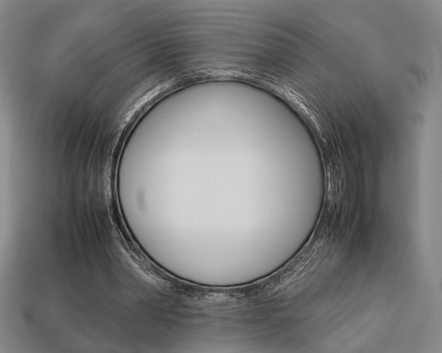 X0000113780390200909231045