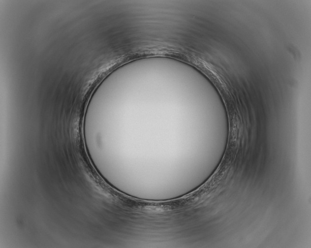 X0000113780394200909231045