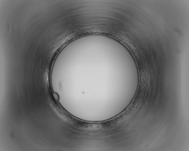 X0000113780398200909231045