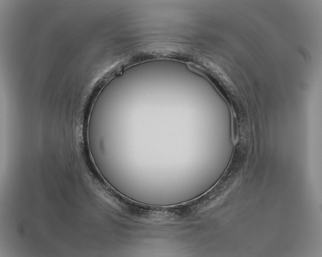 X0000113780399200909231045