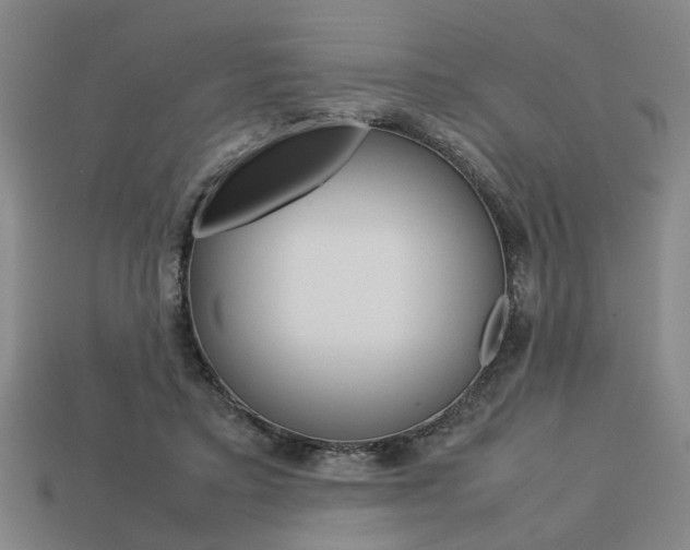 X0000113780403200909231045