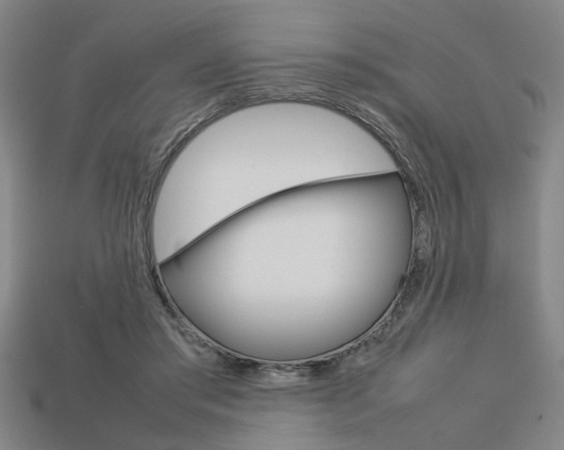 X0000113780405200909231045