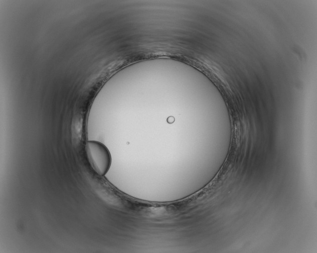 X0000113780406200909231045