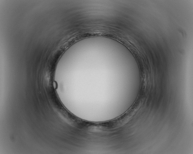 X0000113780408200909231045