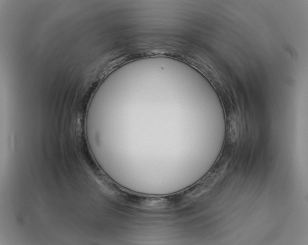 X0000113780410200909231045