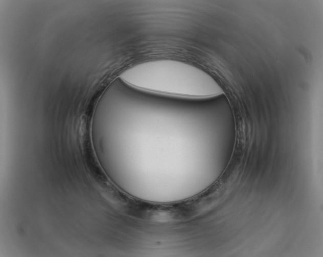 X0000113780412200909231045