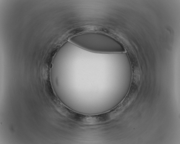 X0000113780413200909231045