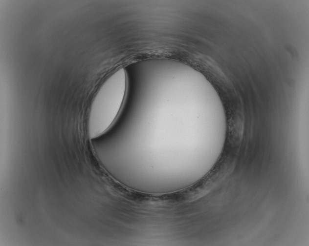 X0000113780416200909231045
