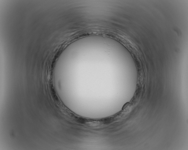 X0000113780417200909231045