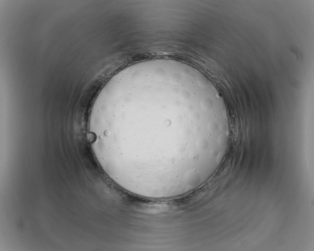 X0000113780418200909231045