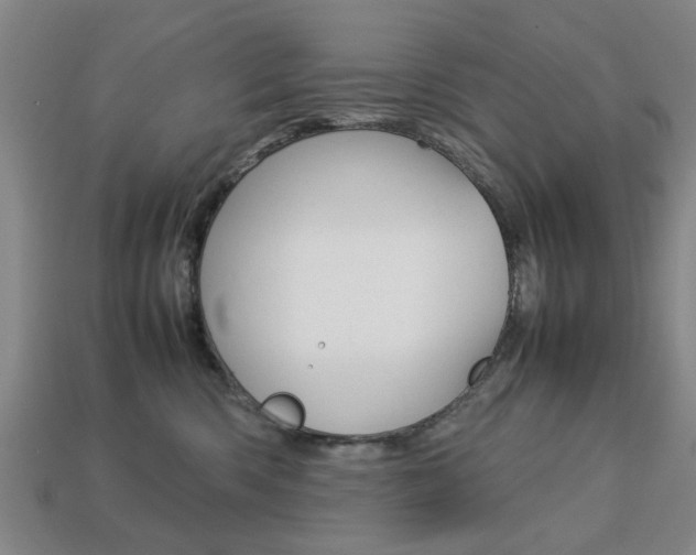 X0000113780426200909231045