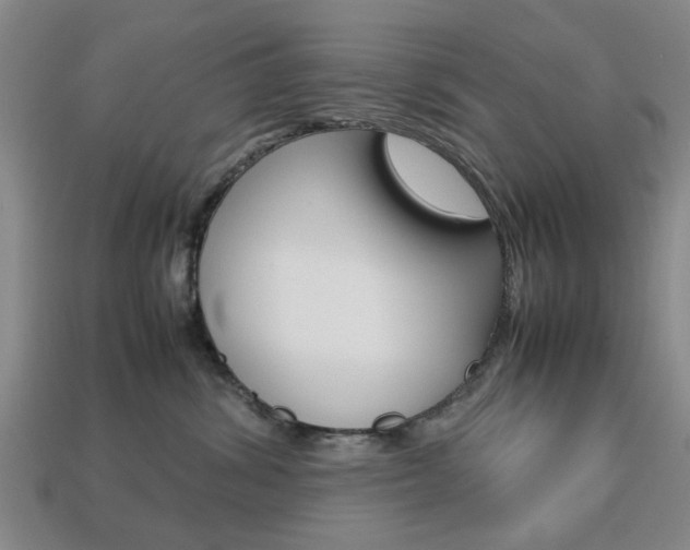 X0000113780428200909231045