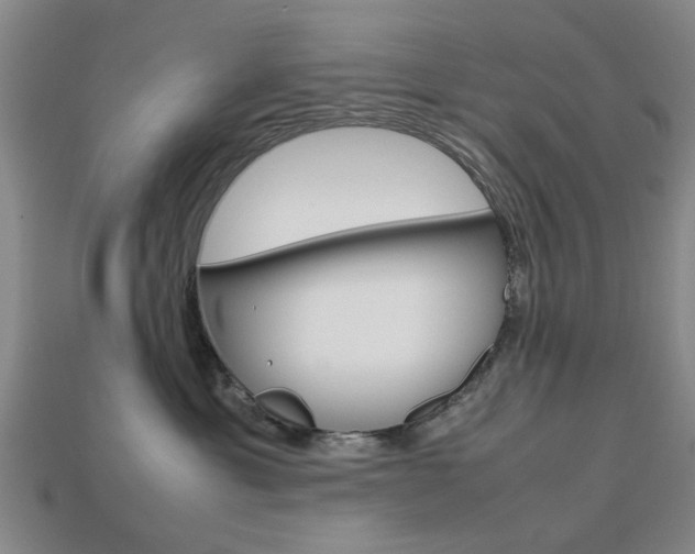 X0000113780429200909231045