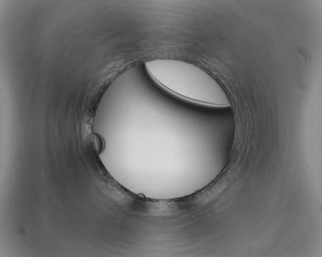 X0000113780432200909231045