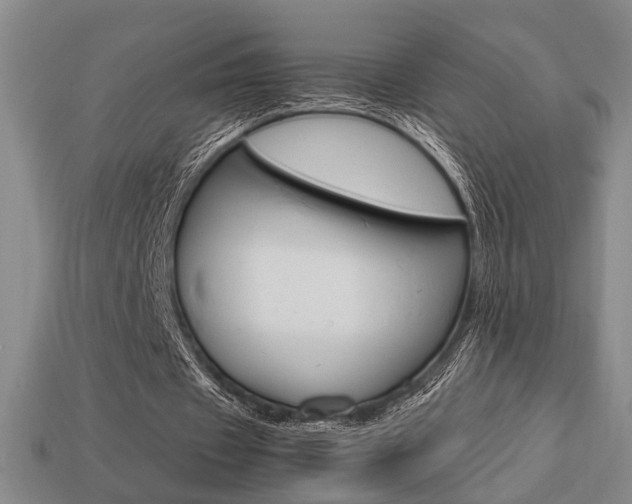 X0000113780433200909231044
