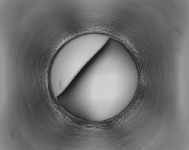 X0000113780434200909231044