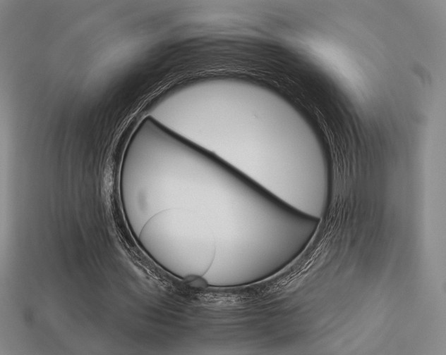X0000113780435200909231044