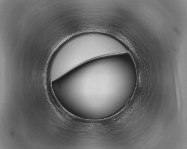 X0000113780436200909231044