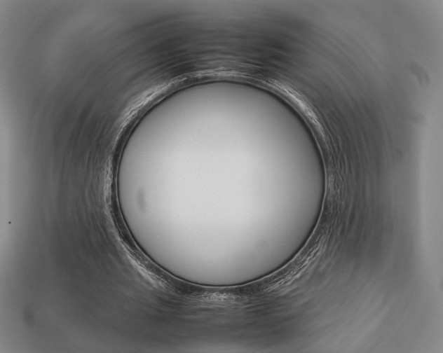 X0000113780437200909231044
