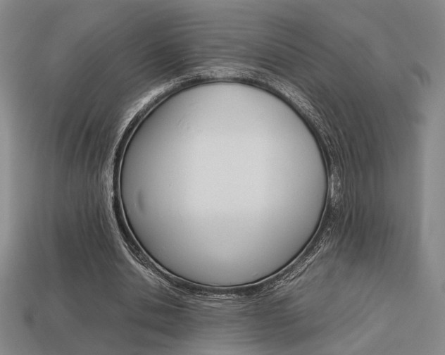 X0000113780438200909231044