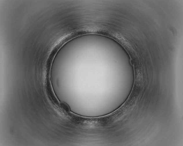 X0000113780440200909231044