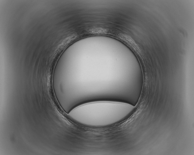 X0000113780441200909231044