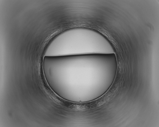X0000113780442200909231044