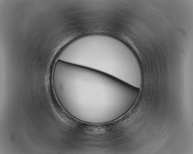 X0000113780443200909231044