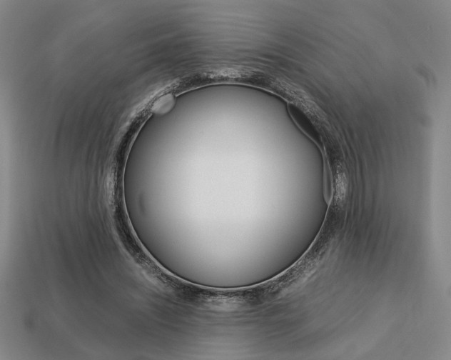 X0000113780444200909231044