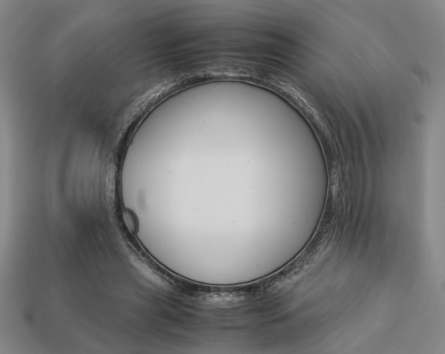 X0000113780445200909231044